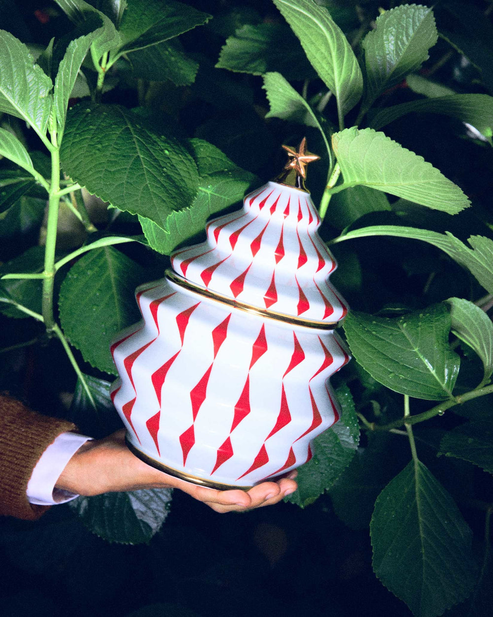 White and red Christmas tree container by Alessi with gold trim and star topper, held in hand amidst green leaves.
