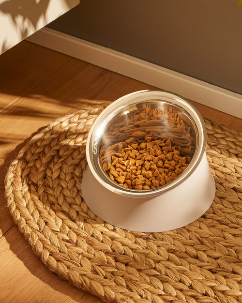 Wowl cm 21 || inch 8¼″ Dog bowl Alessi 1