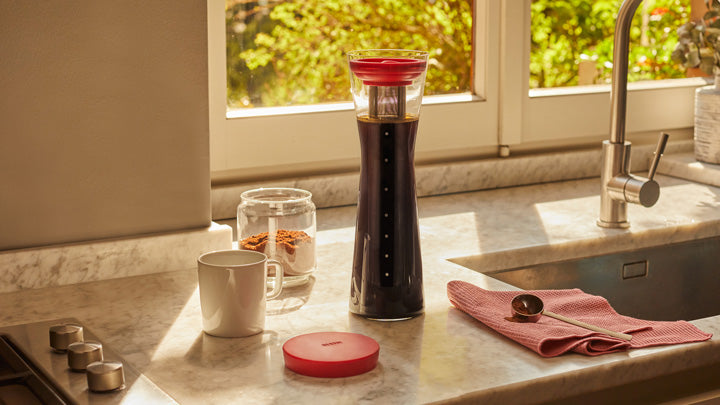 Sunlit kitchen counter with dark glass coffee maker, white mug, red lid, and pink towel near sink and window.