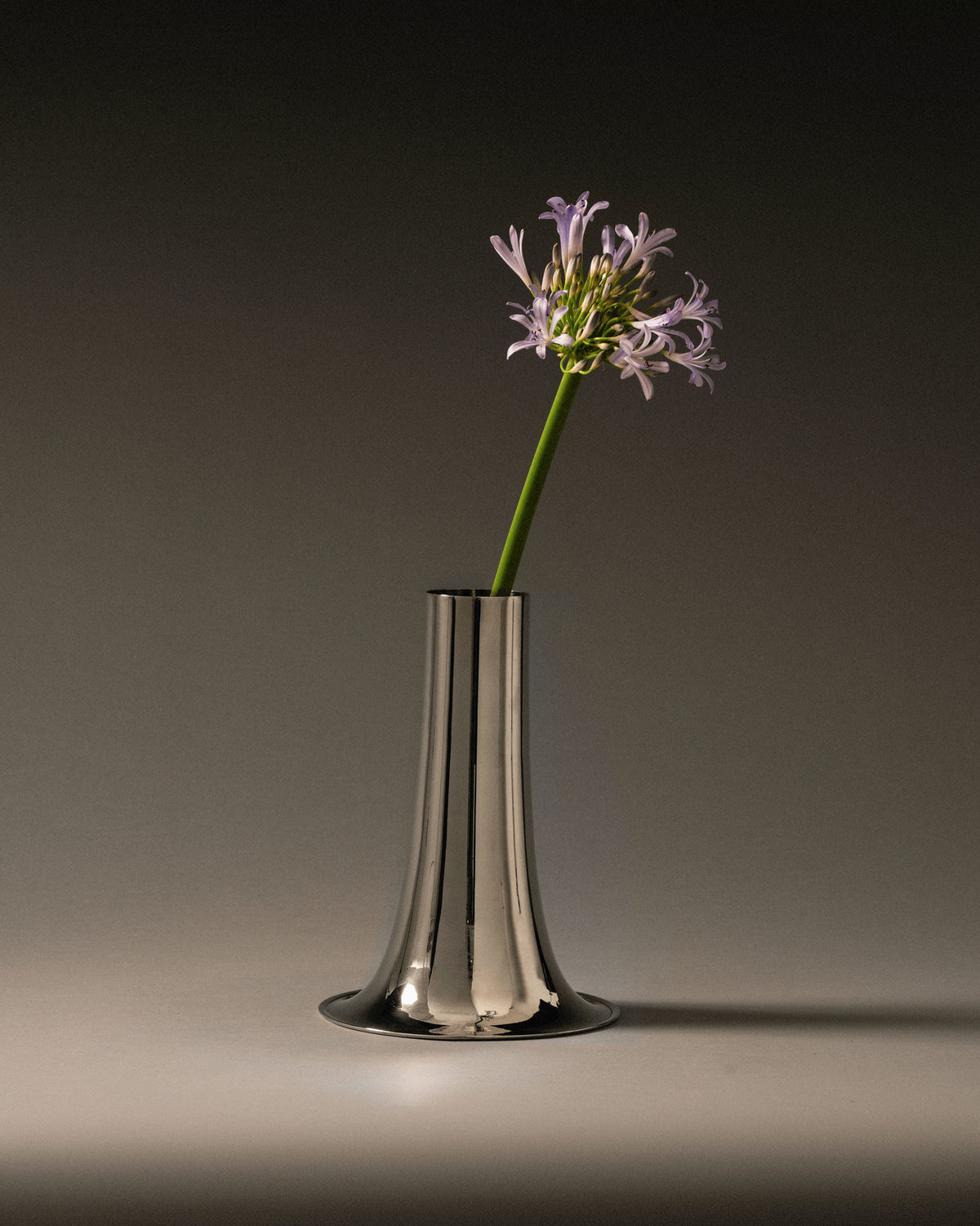 Silver trumpet vase by Alessi, featuring a single purple agapanthus flower on a dark grey background.