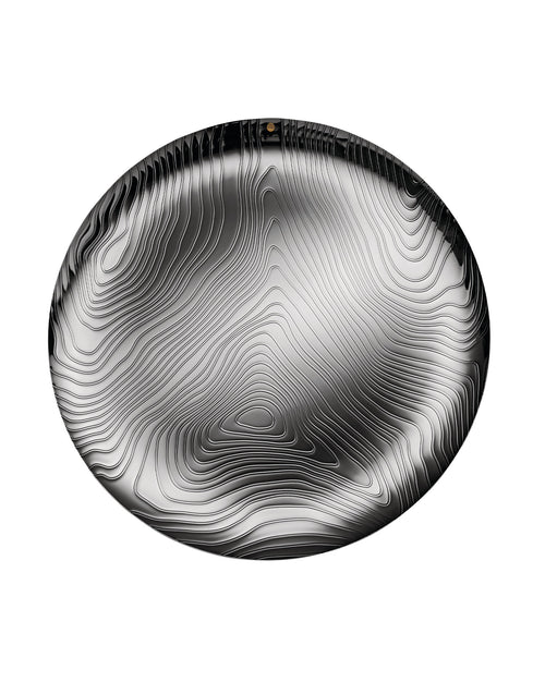 Veneer steel Tray Alessi 3