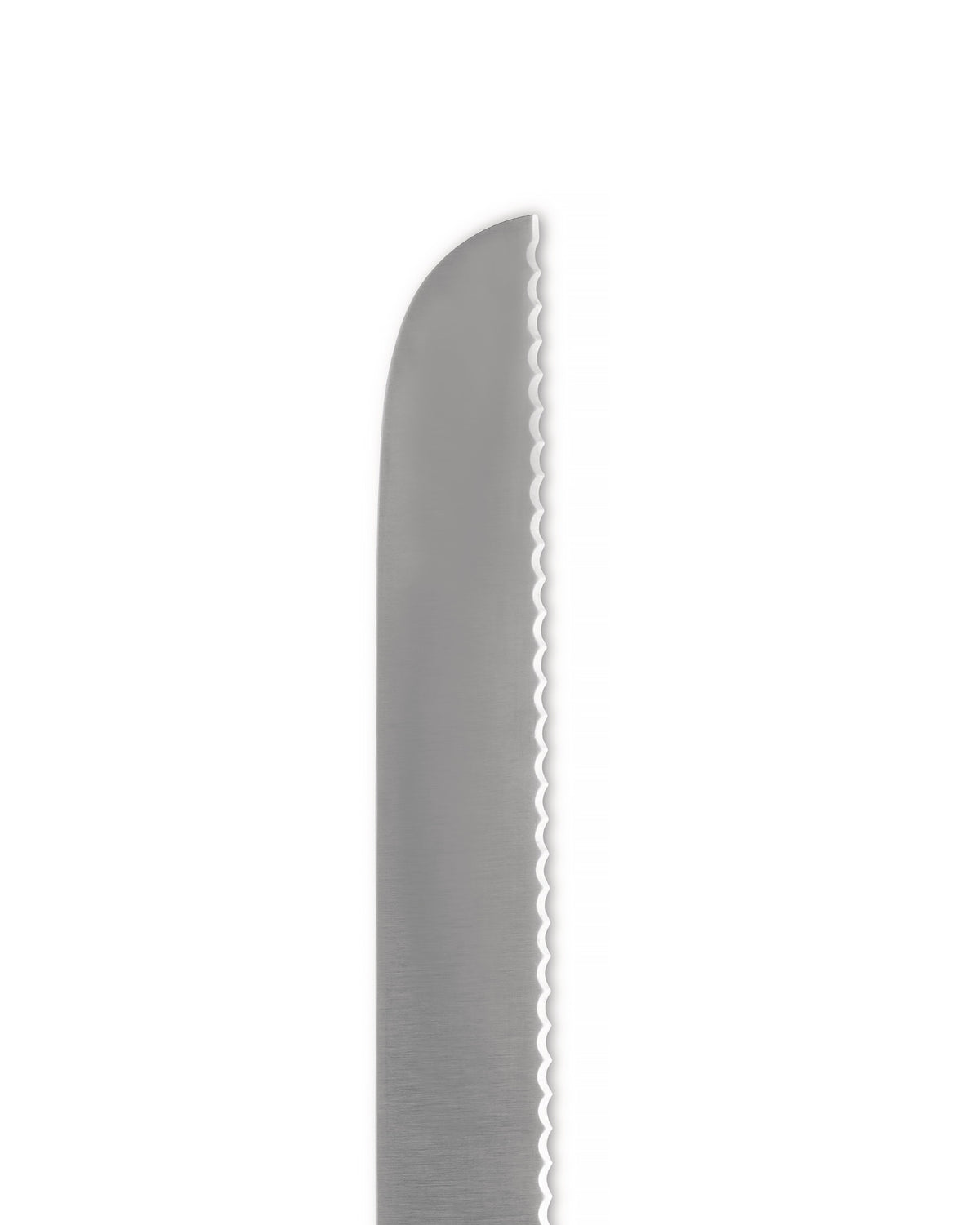 Silver metal knife blade by Alessi with a serrated edge and rounded tip, close-up.
