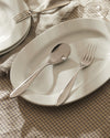 Polished silver cutlery by Alessi, a sleek spoon and fork on a white oval plate and checkered tablecloth.