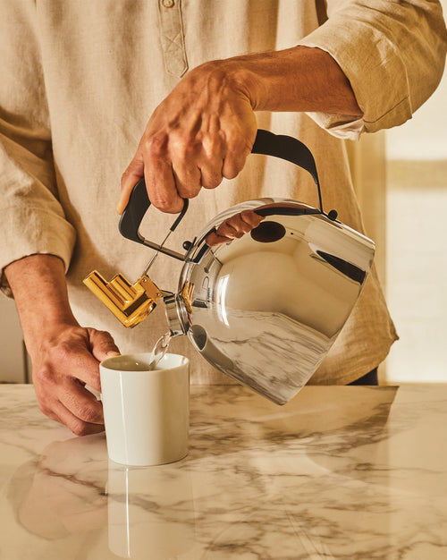 9091 Default Title Kettle Alessi 1