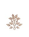 Brown wooden decorative element by Alessi, featuring a stylized, symmetrical plant motif with small oval leaves on a white background.