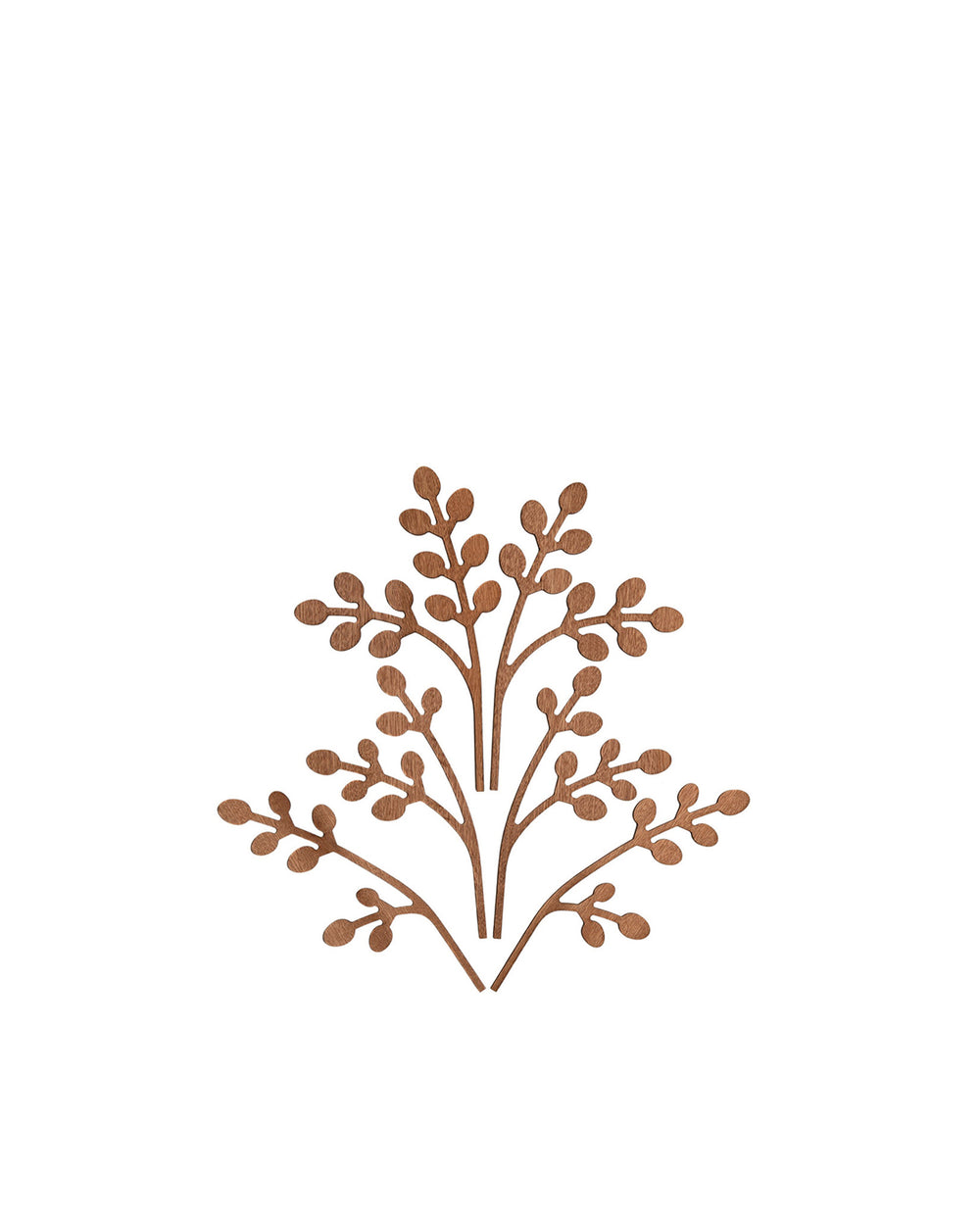Brown wooden decorative element by Alessi, featuring a stylized, symmetrical plant motif with small oval leaves on a white background.