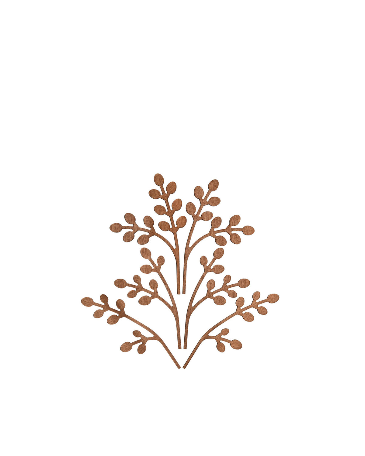 Brown wooden decorative element by Alessi, featuring a stylized, symmetrical plant motif with small oval leaves on a white background.