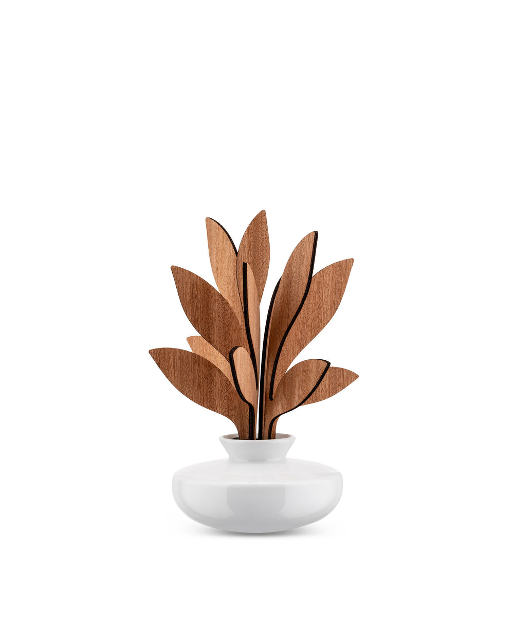 Decorative wooden home fragrance diffuser by Alessi with light brown leaf-shaped reeds in a glossy white ceramic vase.