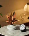 Decorative wooden plant by Alessi, with light brown abstract leaf shapes in a white vase on a marble table.
