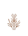Stylized brown wooden botanical art by Alessi, featuring multiple interconnected branch-like elements.