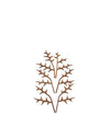 The Five Seasons stylized brown wooden decorative elements by Alessi, resembling thorn branches, arranged vertically on a white background.