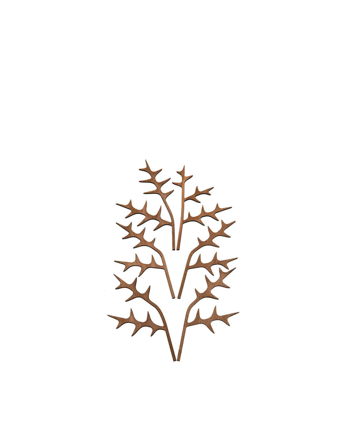 The Five Seasons stylized brown wooden decorative elements by Alessi, resembling thorn branches, arranged vertically on a white background.